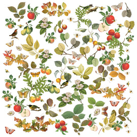 **Pre-Order** 49 and Market - Vintage Orchard - Laser Cut Pieces - Wildflowers (Ephemera) (ETA End Aug 24)