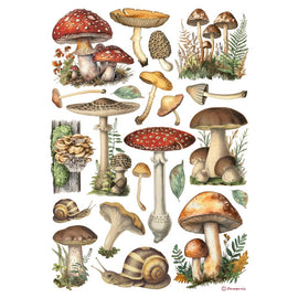 Stamperia - Best Sellers - A4 Rice Paper "Mushrooms"