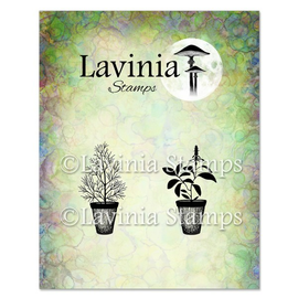 Lavina Stamps - Dill & Sage Pots (LAV939)