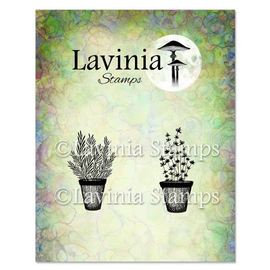 Lavina Stamps - Rosemary & Thyme Pots (LAV948)