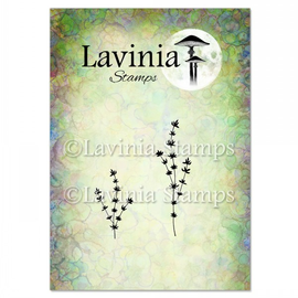 Lavinia Stamps - Thyme (LAV952)