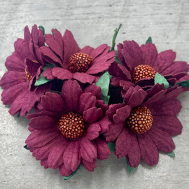 Chrysanthemums - Burgundy (5pk)