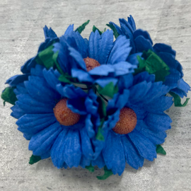 Chrysanthemums - Royal Blue (5pk)