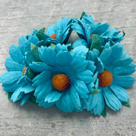 Chrysanthemums - Light Turquoise (5pk)